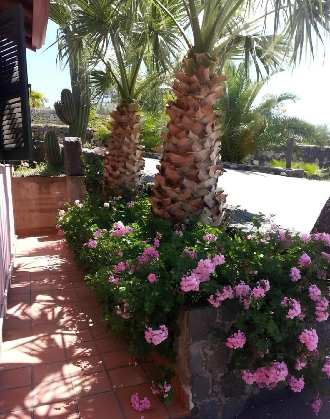 Agriturismo Gianferrante Paterno  Exterior foto